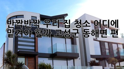 ✨반짝반짝✨ 우리 집 청소, 어디에 맡겨야 할까? (고성군 동해면 편) 🏡