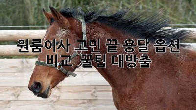 원룸이사 고민 끝! 용달 옵션 비교 & 꿀팁 대방출🍯