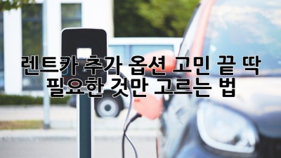 🚗 렌트카 추가 옵션, 고민 끝! 딱 필요한 것만 고르는 법 😎